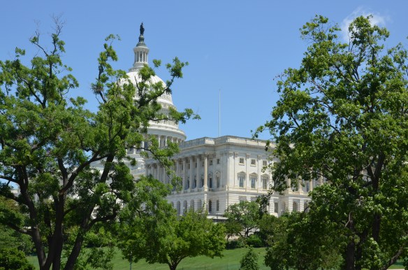Frederick Law Olmsted, Kirk R. Brown, US Capitol Building, US Botanic Garden